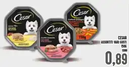 Al Discount Cesar offerta