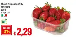 Famila Fragole da agricotura biologica offerta