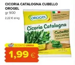 Oasi Cicoria catalogna cubello OROGEL offerta
