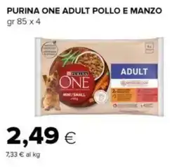 Oasi Purina one adult pollo e manzo offerta
