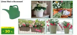 Oasi Linea Vasi e Accessori offerta