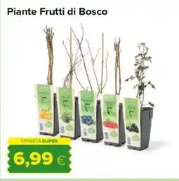 Oasi Piante Frutti di Bosco offerta