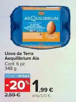 Carrefour Market Uova da Terra Aequilibrium Aia offerta