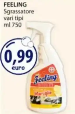 Acqua & Sapone FEELING Sgrassatore offerta
