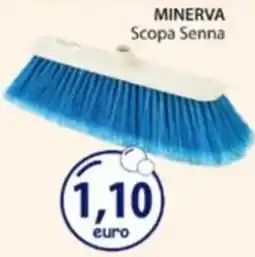 Acqua & Sapone MINERVA Scopa Senna offerta