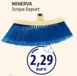 Acqua & Sapone MINERVA Scopa Export offerta