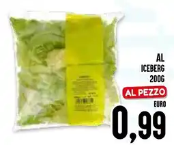 Al Discount Al iceberg offerta