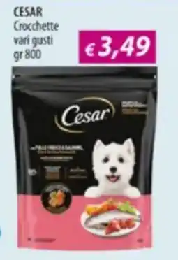 Acqua & Sapone CESAR Crocchette offerta