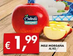 Coal Mele morgana offerta