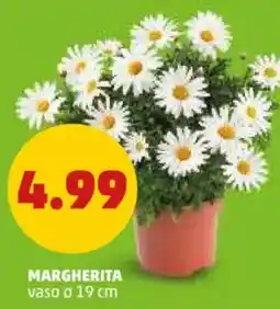 PENNY Margherita vaso ø 19 cm offerta