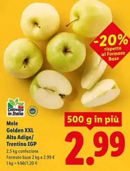 Lidl Mele Golden XXL Alto Adige/ Trentino IGP offerta