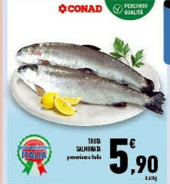 Conad Superstore Conad trota salmonata offerta