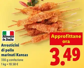 Lidl Arrosticini di pollo marinati Kansas offerta