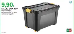 Basko Magic box 4up offerta
