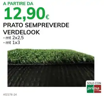 Prato sempreverde verdelook