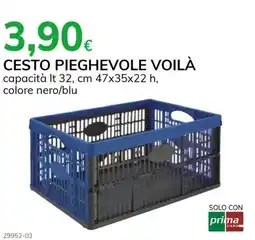 Basko Cesto pieghevole voilà offerta