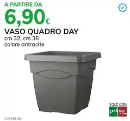 Basko Vaso quadro day offerta