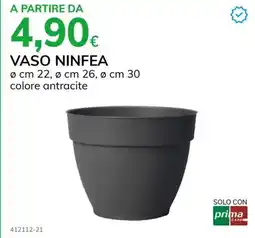 Basko Vaso ninfea offerta