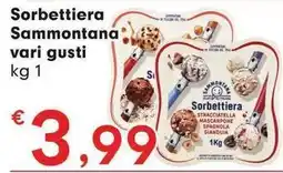 Despar Sorbettiera Sammontana offerta