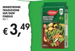 Coal Minestrone tradizione igp/dop FINDUS offerta