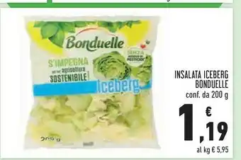 Conad Insalata iceberg 200 g offerta