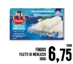 Al Discount Findus filetti di merluzzo offerta