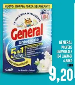 Al Discount General polvere universale offerta