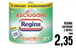 Al Discount Regina asciugoni 2 rotoli offerta