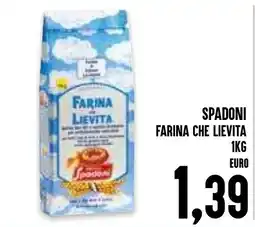 Al Discount Spadoni farina che lievita offerta