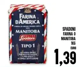 Al Discount Spadoni farina o manitoba offerta