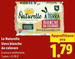 Lidl Le Naturelle Uova bianche da colorare offerta