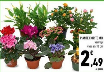 Conad Piante fiorite mix offerta