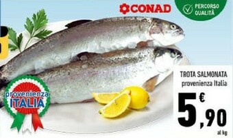 Conad Trota salmonata offerta