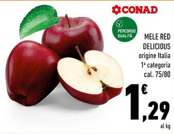 Conad Mele red delicious offerta