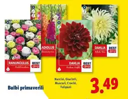 Lidl Bulbi primaverili offerta
