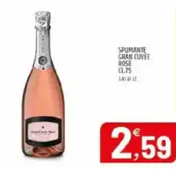 Ard Discount Spumante gran cuvee rose offerta