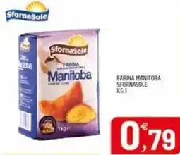 Ard Discount Farina manitoba SFORNASOLE offerta