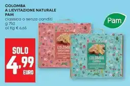 Panorama Colomba a lievitazione naturale PAM offerta