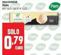 Panorama Maionese PAM offerta
