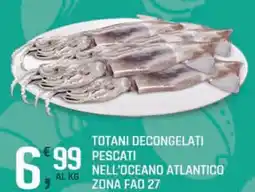 Supermercati Dok Totani decongelati pescati nell'oceano atlantico zona fao 27 offerta