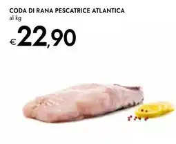Bennet Coda di rana pescatrice atlantica offerta