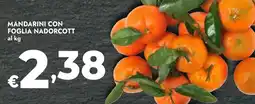 Bennet Mandarini con foglia nadorcott offerta