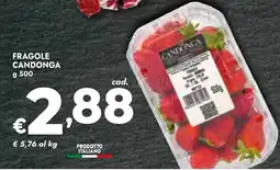 Bennet Fragole candonga offerta