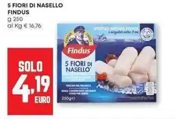 Panorama 5 fiori di nasello FINDUS offerta