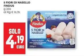 Panorama 5 fiori di nasello FINDUS offerta