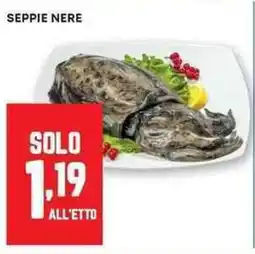 Panorama Seppie nere offerta