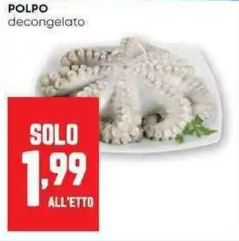Panorama Polpo decongelato offerta