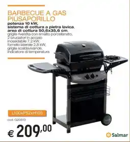 Brico OK Salmar barbecue a gas piùsaporillo offerta
