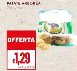 Pan Patate arborea offerta