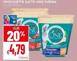 Pan Crocchette gatto one PURINA offerta